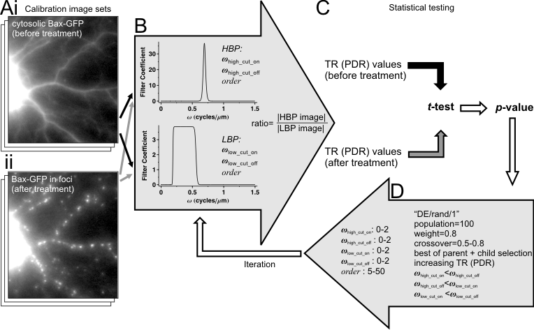 Ratiometric Optimized Spatial Filtering