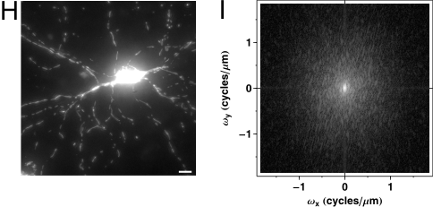 The relationship between Fourier domain and space domain