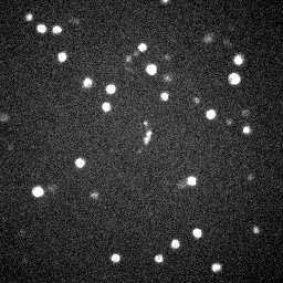 DHE 390 to 460 nm fluorescence in pancreatic beta-cells