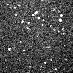 OH-ethidium 390 to 617 nm fluoresence in pancreatic beta-cells