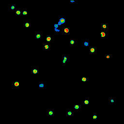 OH-ethidium 390 to 617 nm fluoresence in pancreatic beta-cells, masked